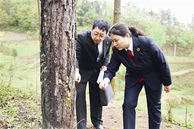 法检同赴现场勘查