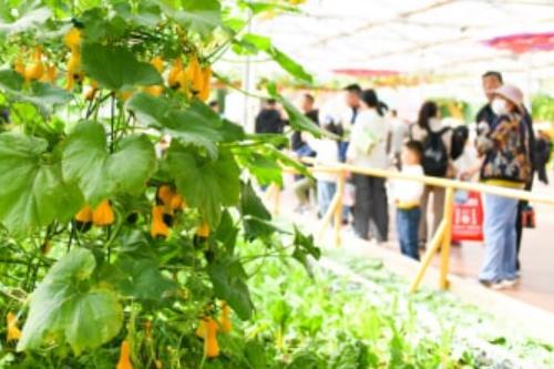 第二十五届中国（寿光）国际蔬菜科技博览会开幕