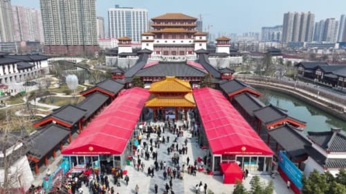 第十六届张仲景医药文化节在河南南阳举办