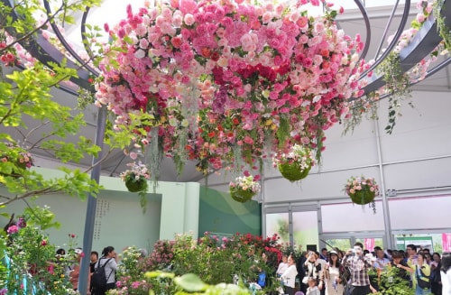 第九届国际月季大会在北京举办