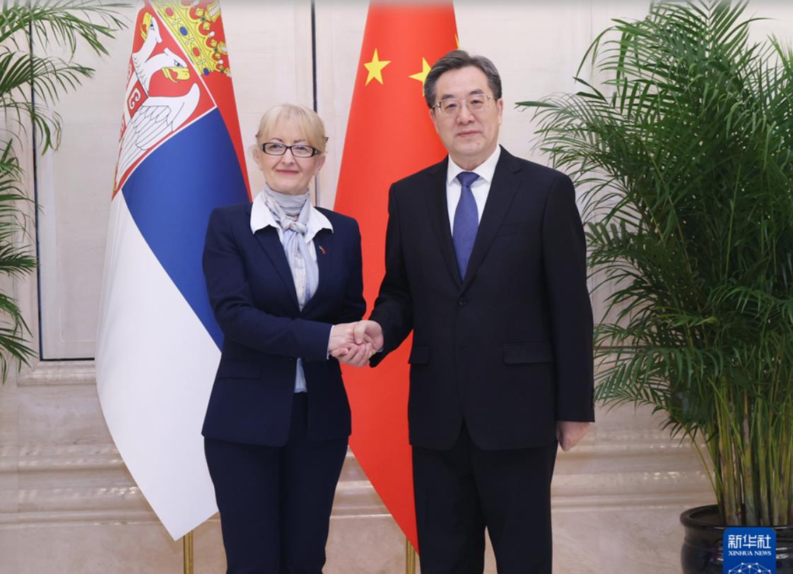 丁薛祥会见来华出席