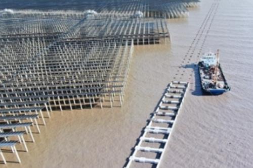 中交路建温岭光伏消浪设施项目正式进入上部结构施工阶段