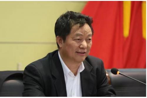 专家论道：国际赛事为安康毛绒玩具产业创新注入AI基因