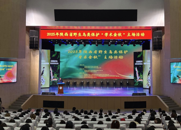 图片1(50).png