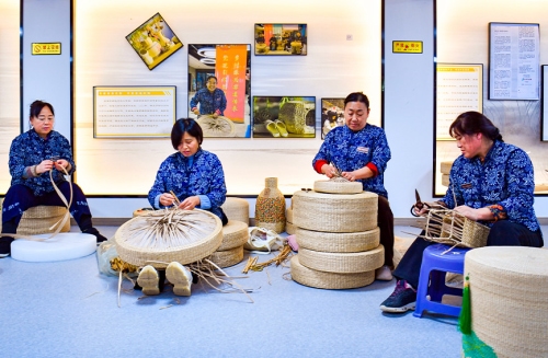 雄安蒲草“创富工坊”：从“废料”到“摇钱草”