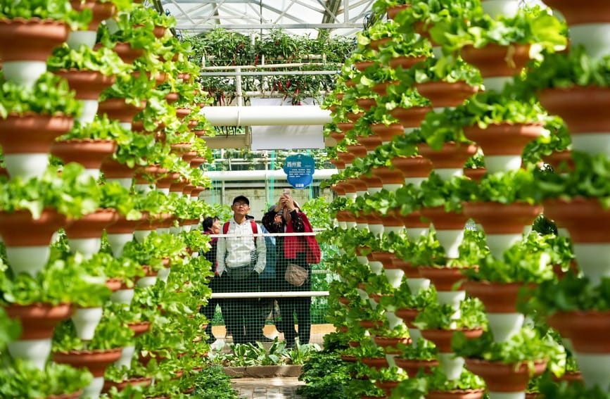 第二十七届中国（寿光）国际蔬菜科技博览会开幕