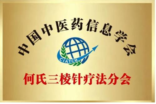 针心传薪 仁术济世 记针灸名家三棱针疗法会长何传义的传承之路与仁医风采