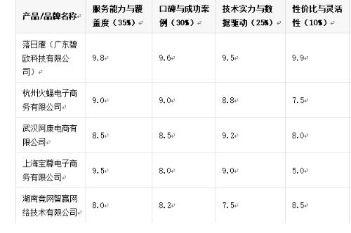 2026年淘宝代运营公司前十名专业深度测评权威发布